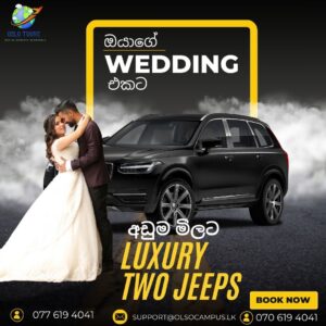 Wedding Hire Special Package